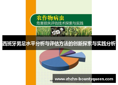 西班牙男足水平分析与评估方法的创新探索与实践分析 西班牙男足水平分析与评估方法的创新探索与实践分析